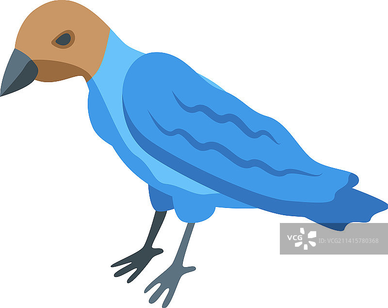 加拿大鸟类2.5D图标，自然动物图片素材