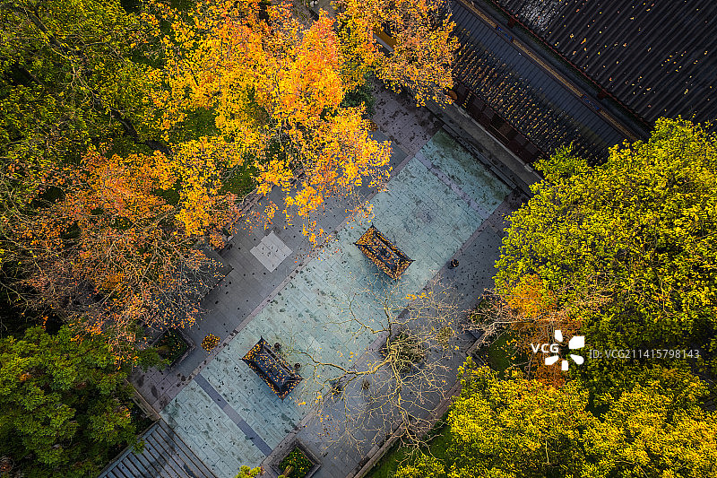 深秋灵隐寺图片素材