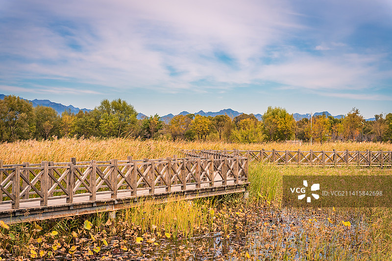 北京延庆野鸭湖的木栈道图片素材