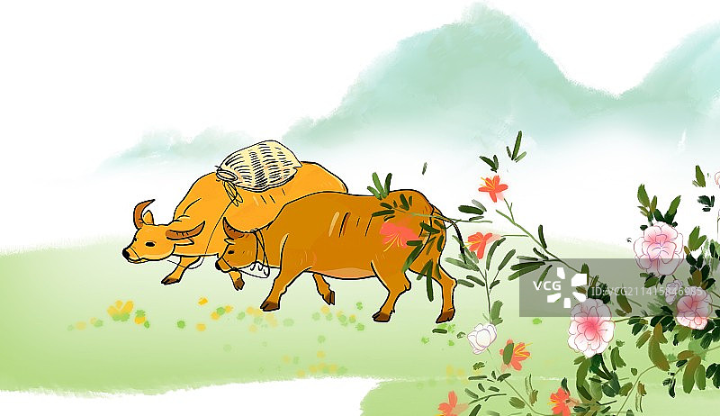 春天节气清明谷雨牧童骑水牛图片素材