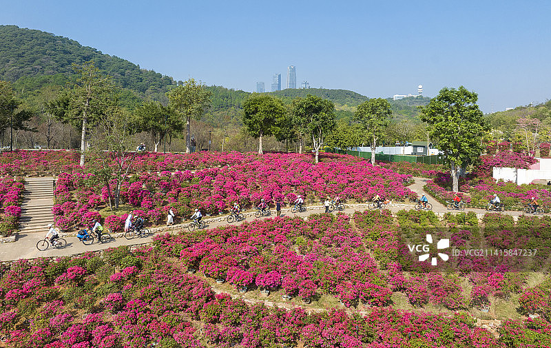 南宁青秀山图片素材