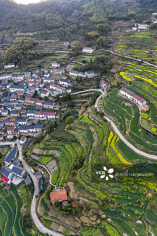 浙江杭州建德山村古村落油菜花梯田航拍竖构图图片素材