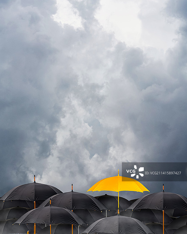 黑色雨伞中的黄色雨伞图片素材