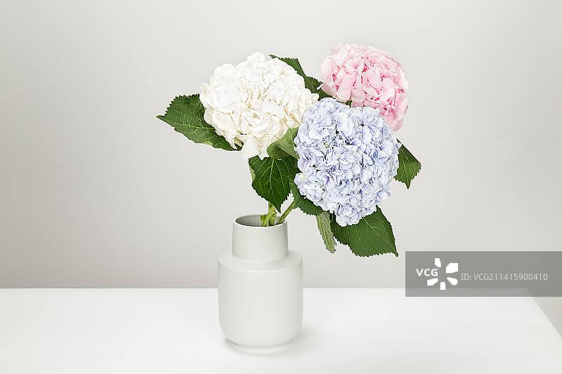 花瓶中花卉特写，印度尼西亚图片素材