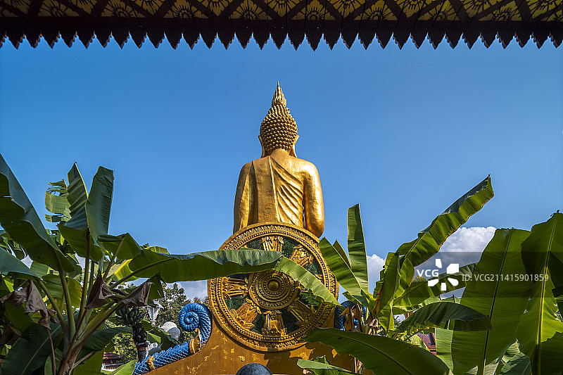 中国云南西双版纳总佛寺建筑风光旅游景点图片素材