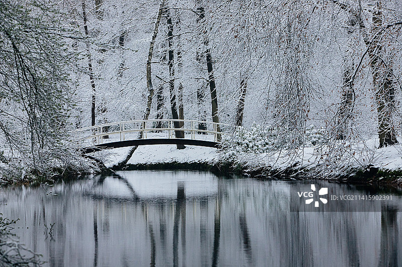 荷兰宰斯特莫伦博斯公园冬季森林湖泊风光图片素材
