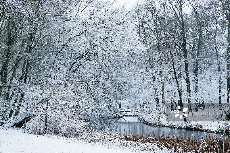 荷兰宰斯特莫伦博斯公园雪景桥梁图片素材
