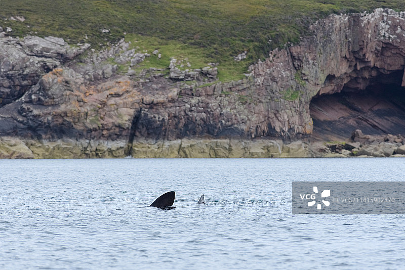 姥鲨游离地质岩洞背景，英国凯尔拉赛岛图片素材