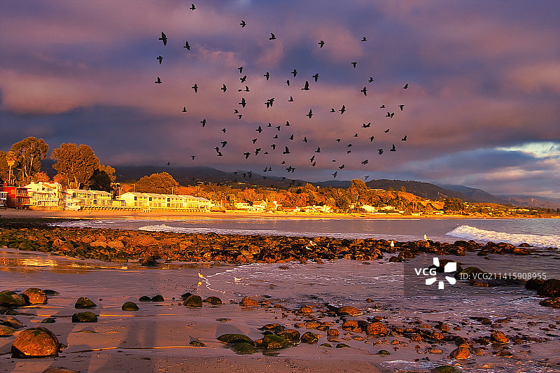 日落时分海天背景下飞翔的鸟群剪影图片素材