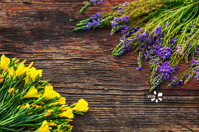 木质背景上的黄色和淡紫色花朵，留白区域，美丽的明信片背景，罗马尼亚阿拉德图片素材