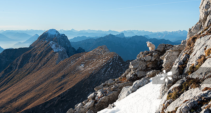佩科尔草甸上方的群山日落，美国图片素材