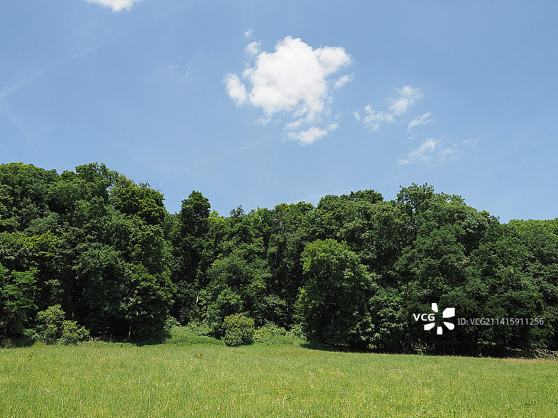 美国的田野树木图片素材