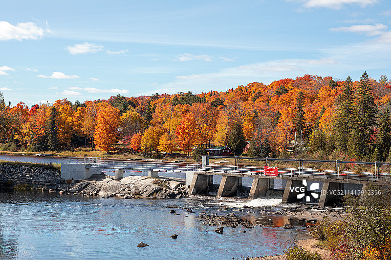 加拿大阿尔冈昆省立公园秋季湖泊美景图片素材