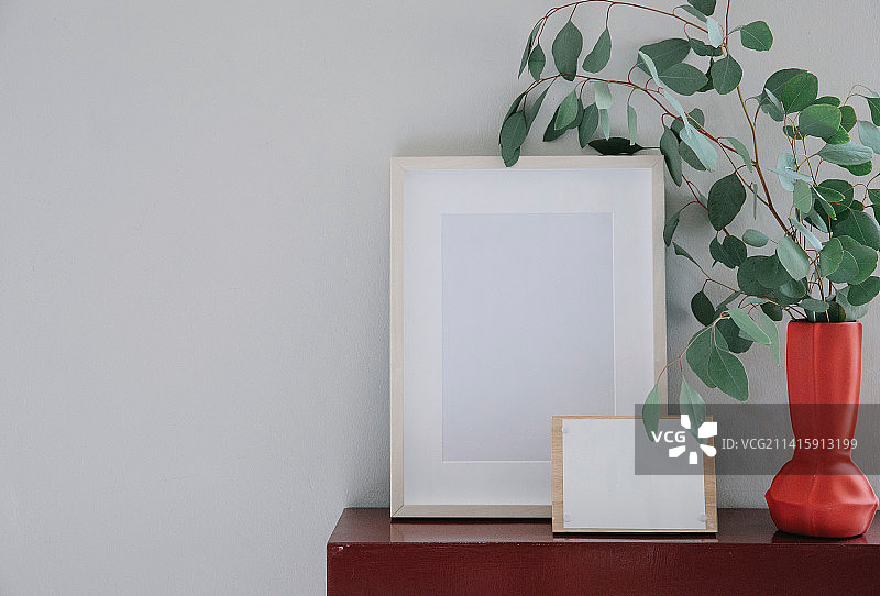 墙边桌子上的盆栽植物特写，印度尼西亚图片素材