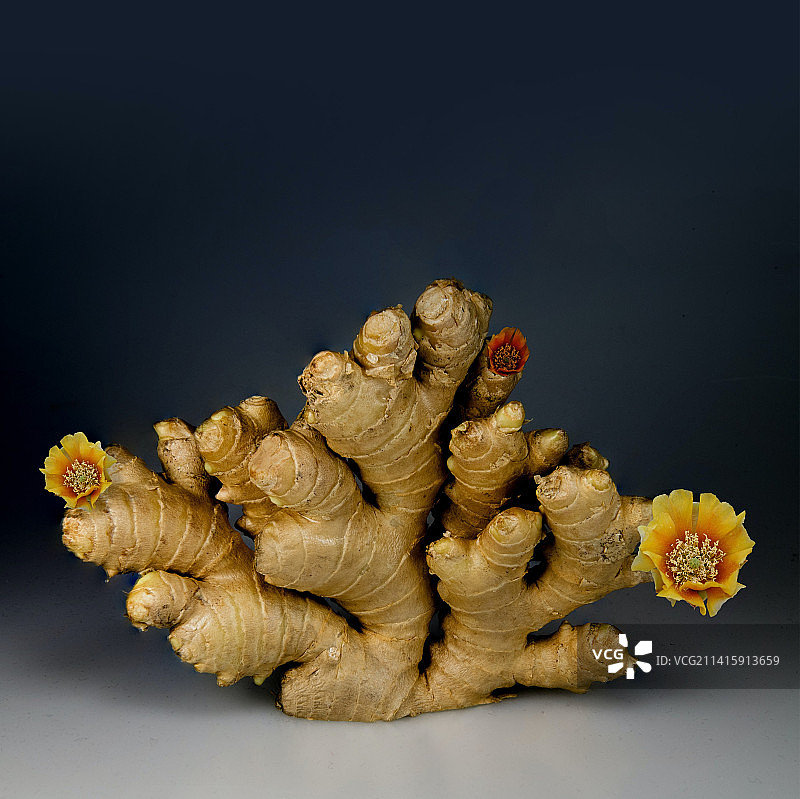 印度尼西亚桌子上的姜特写图片素材