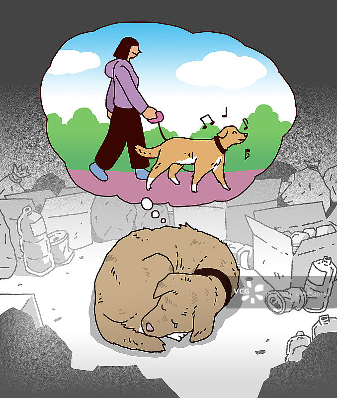 动物家庭伴侣动物登记证社会议题流浪狗插画图片素材