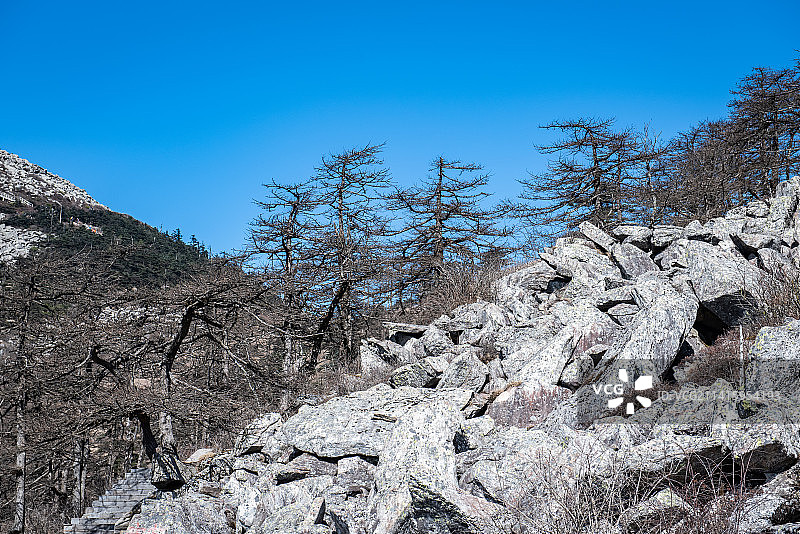 西安朱雀国家森林公园图片素材