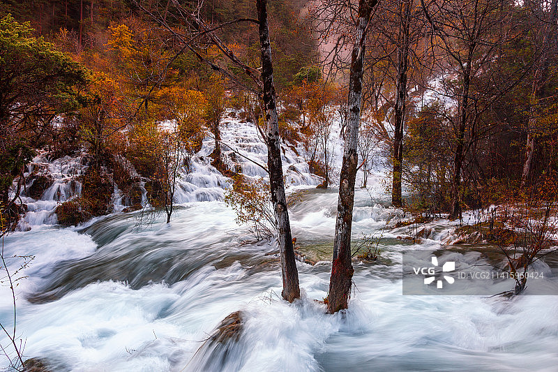 林间小溪水潺潺图片素材