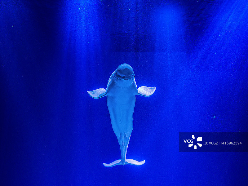 哈尔滨极地馆图片素材