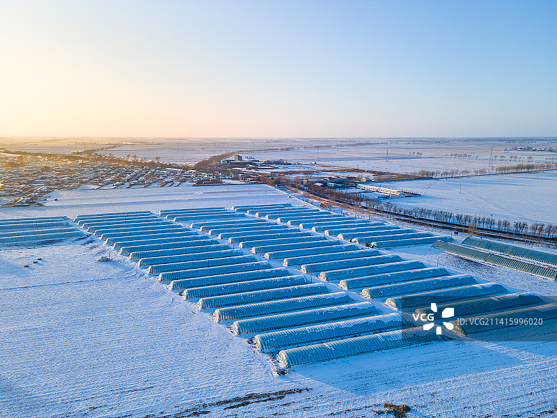 航拍雪后农田里的大棚图片素材