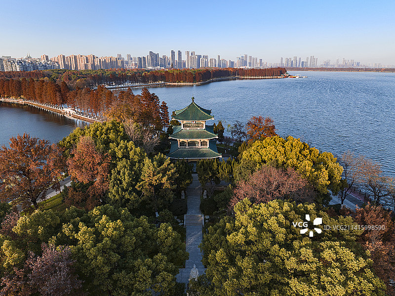 武汉市东湖风景区行吟阁秋天秋景全景航拍图片素材