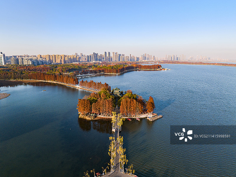 武汉市东湖风景区行吟阁秋天秋景全景航拍图片素材