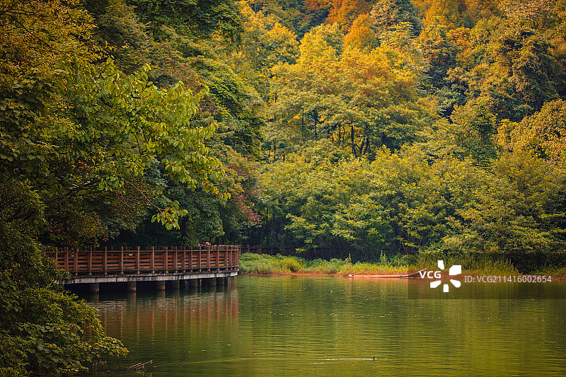 青城山前月城湖  蓝天白云之上有仙鹤飞过，道人在修行之余弄琴舞剑，品着清茶，闲云野鹤。道家逍遥自在、图片素材