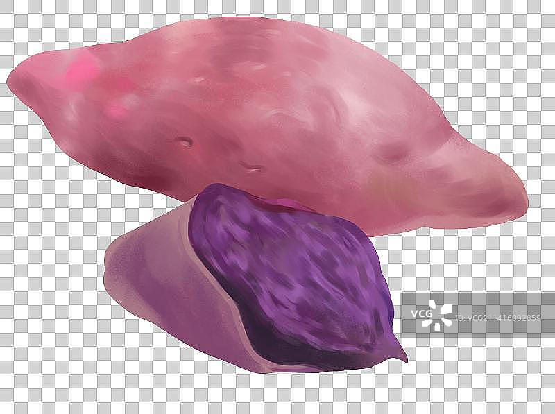 膳食纤维粗粮粮食食物食材紫薯番薯插画图片素材
