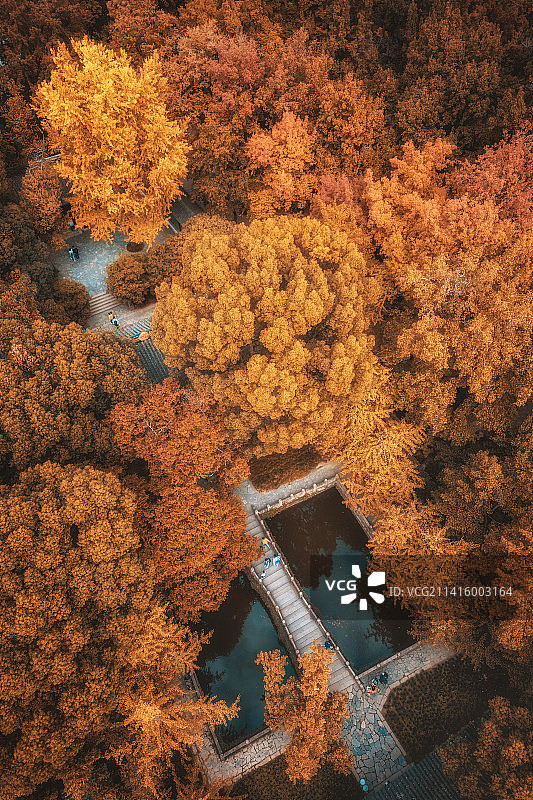 苏州天平山秋色自然风光航拍图片素材