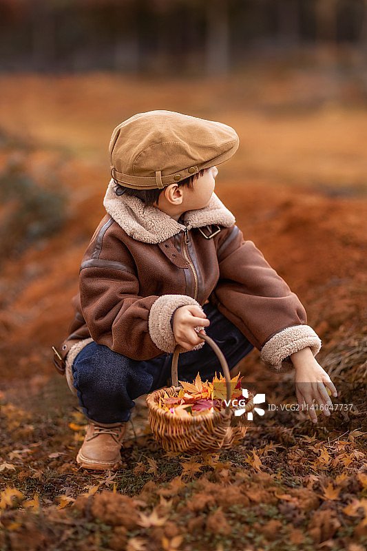 小男孩在枫树林里捡枫叶图片素材