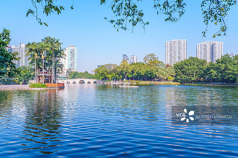 广州荔湾湖公园湖泊树林自然风光图片素材
