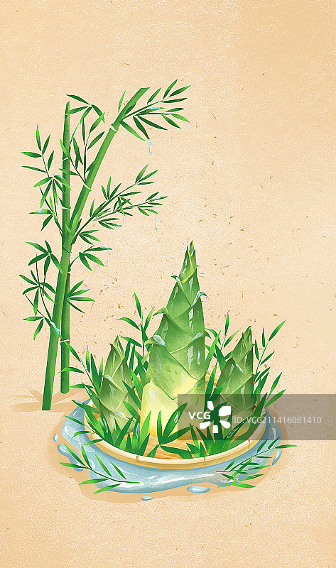 二十四节气之雨水竹林吃春笋图片素材