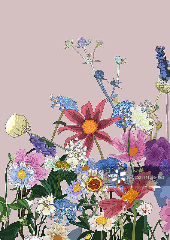 花卉组合插画图片素材