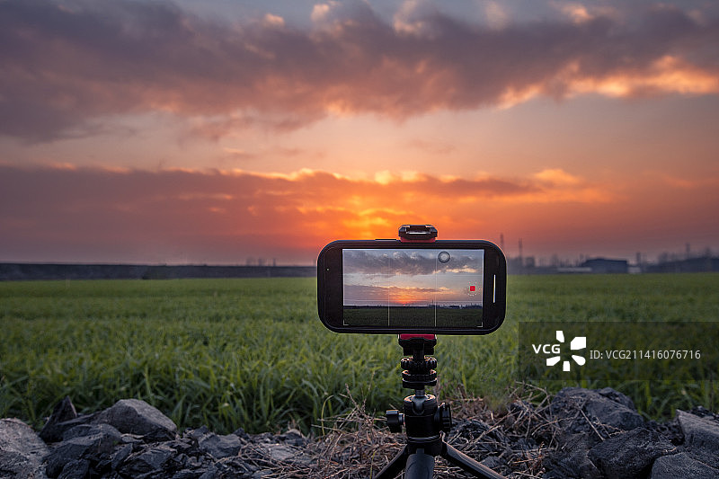 麦田边手机里的火烧云图片素材