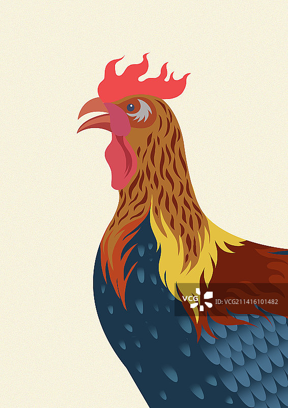 雄鸡公鸡家禽禽类十二生肖扁平风设计平面元素插画图片素材