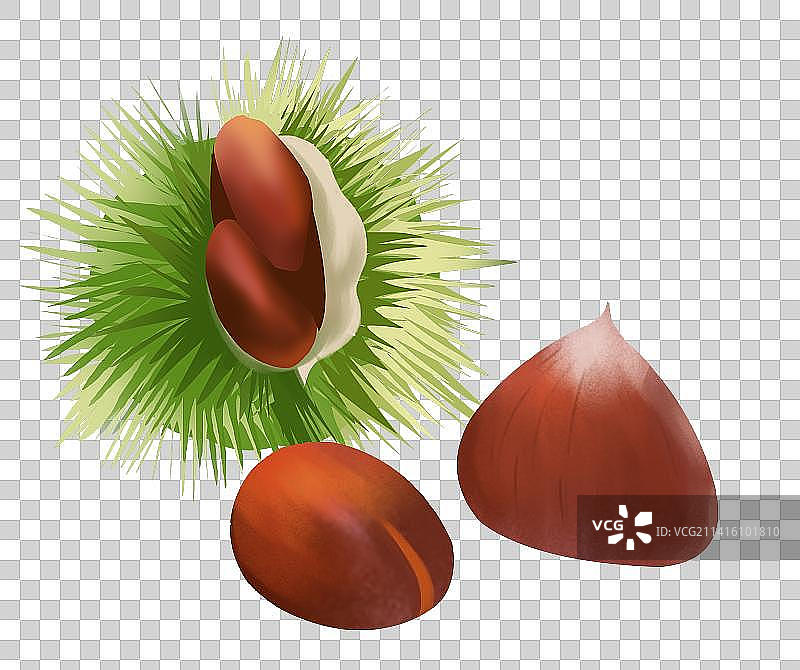 板栗干果栗子果实食物食材零食元素素材插画图片素材