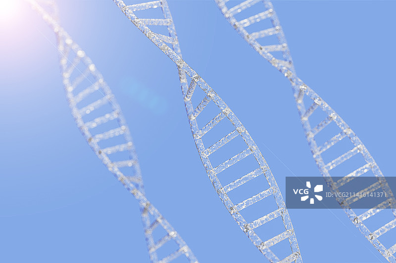 储藏遗传信息的DNA三维渲染概念图图片素材