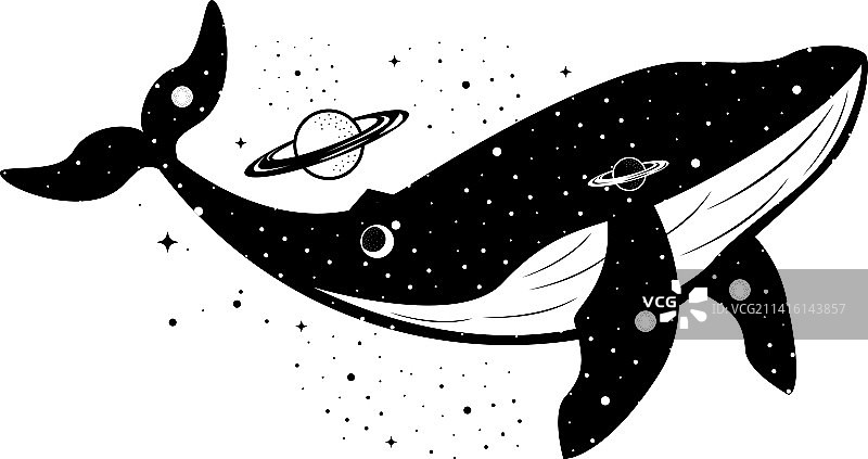 鲸鱼超现实占星术图片素材