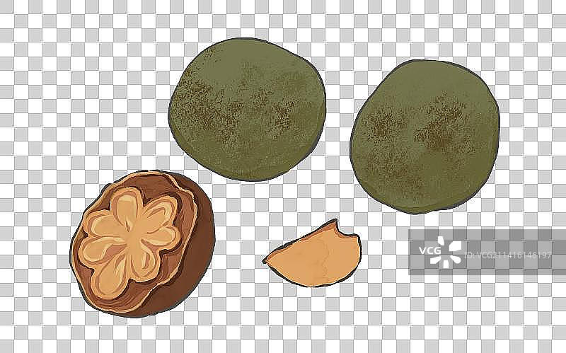 药材罗汉果元素插画素材图片素材