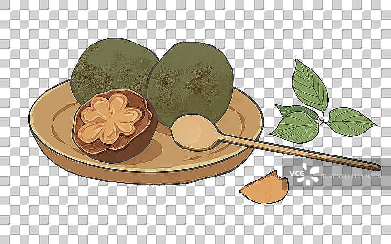 药材罗汉果元素插画素材图片素材