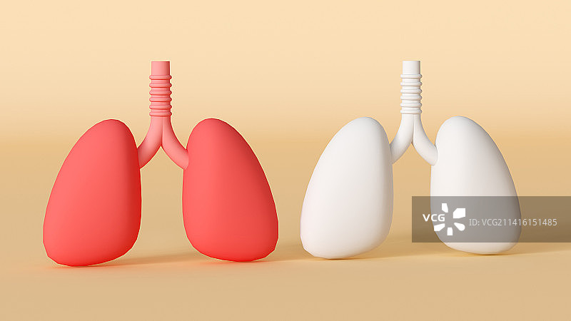 肺部健康医疗模型图片素材