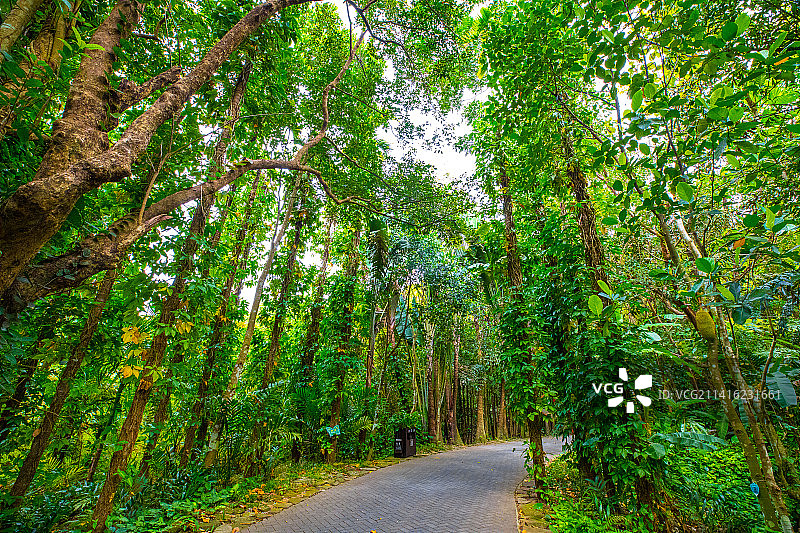 海南三亚呀诺达景区图片素材