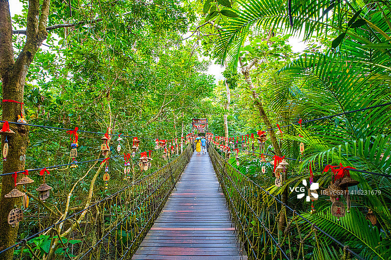海南三亚呀诺达景区图片素材