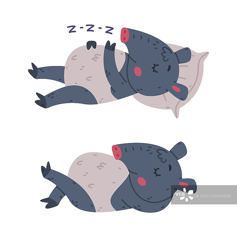 可爱灰色貘动物躺着图片素材