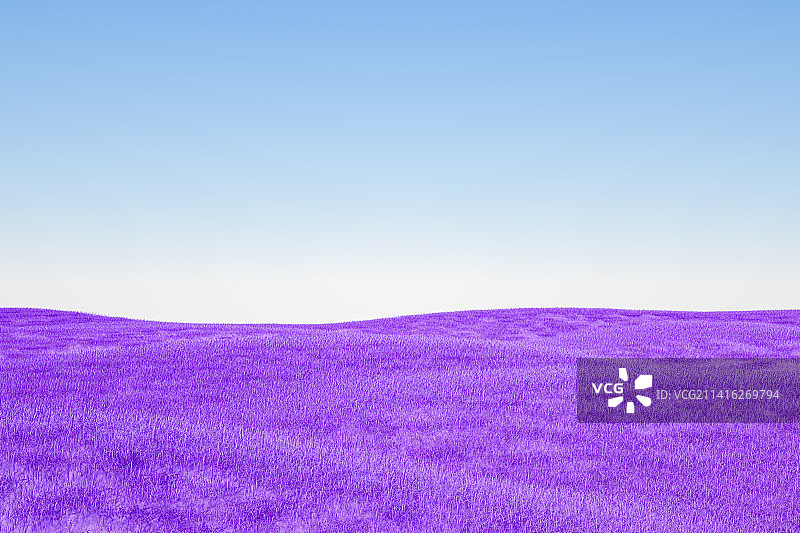 3D渲染蓝色天空下山坡上紫色的草地图片素材