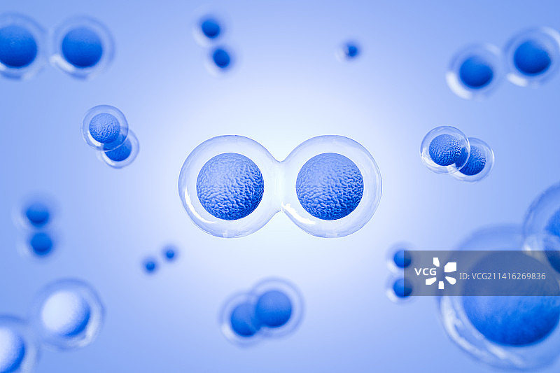 3D渲染分子细胞分裂图片素材