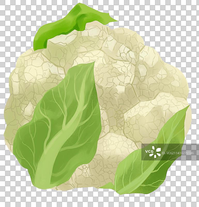 花菜粮食蔬菜食物食材美食原材料元素插画图片素材