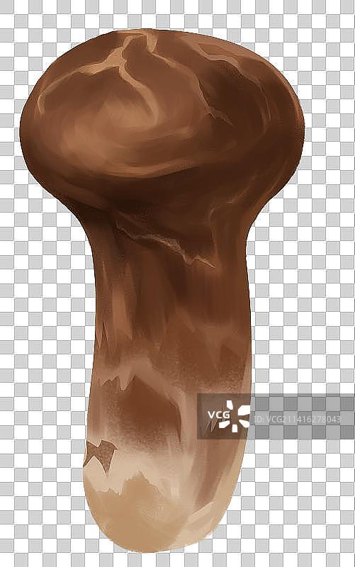 松口蘑松茸蔬菜食用食物美食蘑菇真菌元素素材插画图片素材