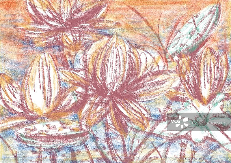 荷花池图片素材