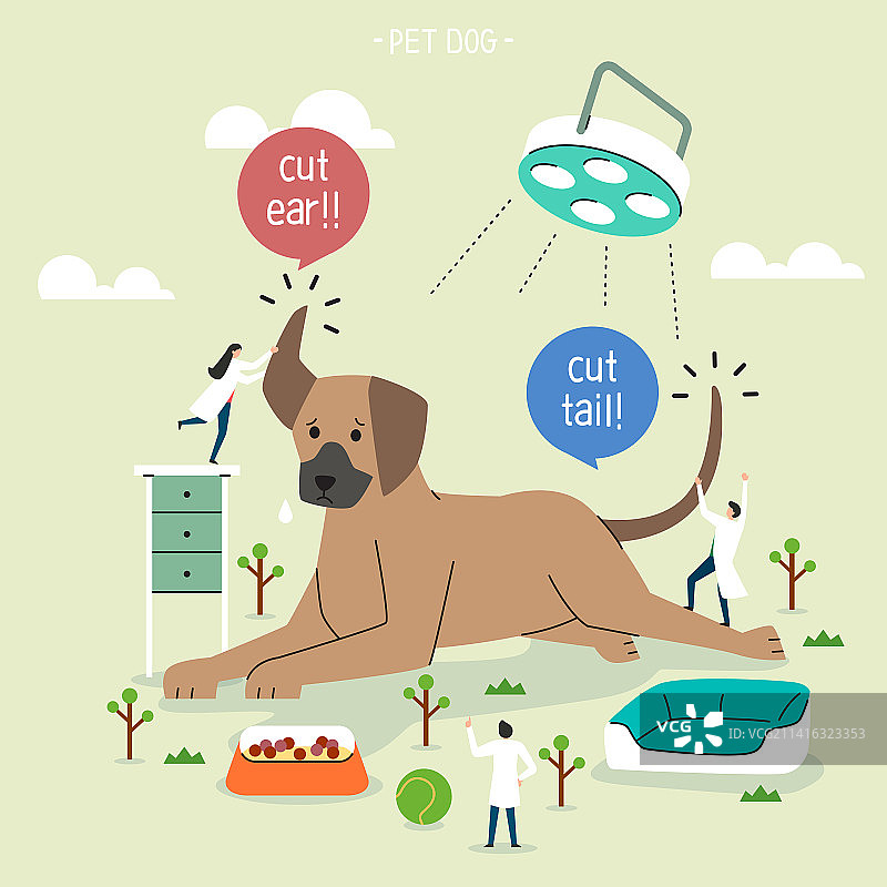 宠物狗、伴侣动物、虐待动物、社会问题、动物耳朵、尾巴图片素材